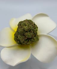 Mo Grow | Lilac Diesel | Top-Tier Buds