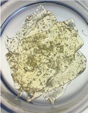 Shatter - Bahama Berry 1g