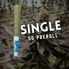 Ghost Face Truffle Singles 0.5g Pre-roll