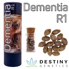 Destiny Genetics Dementia Seeds