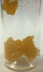 Brake Check Sugar Oil