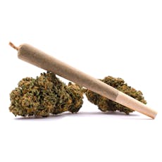 Fused | Infused Prerolls (5 Pack) | Dogwalkers (0.42g) | Grape Burger