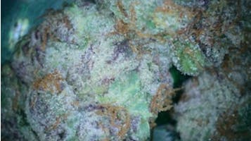 Pre-Roll Hippie Crasher