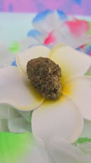 Mo Grow | Fat Purple Pie | Premium Buds