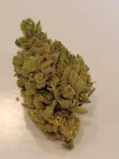 Buds - Bubba's Gift