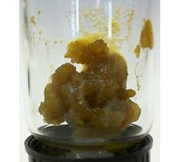 Lemon Gushers Badder