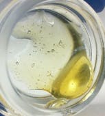 Shatter - Bahama Berry 1g - TERPS 8.459%