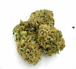 Rainbow Belts - BUDs