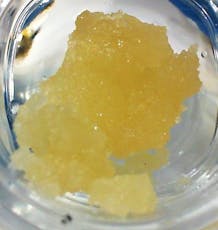 Drip Station Sugar