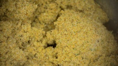 Kief - Bomb Sauce