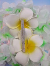 BBR | Strawberry OG Cookies | 0.5g Single Jay