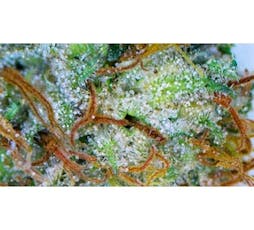 Goats Breath Pre-rolls