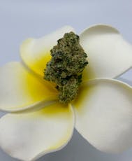 Mo Grow | Zweet Inzanity | Sale 1/8th