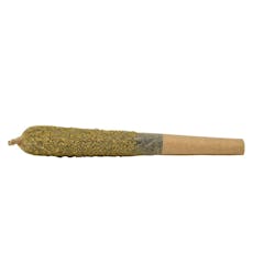 Double Infused - Huckleberry Sherbet 1.25g Pre-Roll