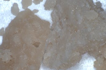 Crumble - Hippie Crasher