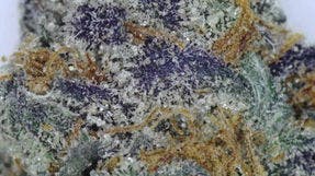 Huckleberry Bar 2x .5G Pre-Rolls