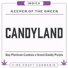 Candyland Seeds-5PACK