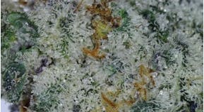 Pre-Roll Cap Junky .75g
