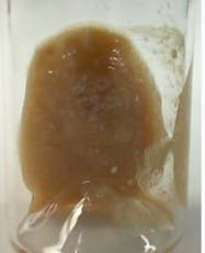 Badder - Sub Zero 1g - TERPS 5.380%
