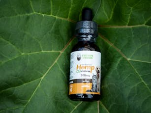 CBD Hemp Oil for Pets (250-750mg) - 30mL, 250mg