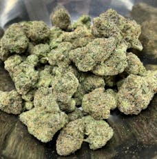 Troplical Zlushee - Regular