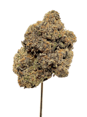 Alabama Slamma THCA - Sativa - Bulk Flower