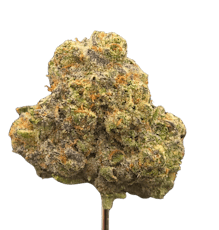 Fiji Sunset THCA - Hybrid (Indica Dom.) - Bulk Flower