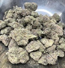 Black Cherry Gelato - Regular