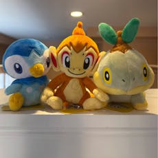 Starter set 3 - Regular