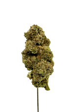 Jealousy THCA - Hybrid - Bulk Flower