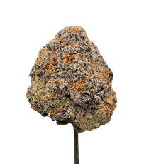 Mermaid Tail THCA - - Bulk Flower