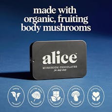 Nightcap Mushroom Chocolate, 16 piece - Regular