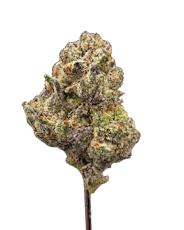 Candyland Kush THCA - Sativa - Bulk Flower