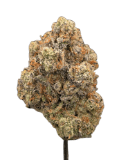 Bubba Kush THCA - Indica - Bulk Flower