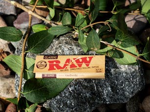 Raw Papers Single Pack - Regular