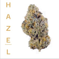 Tropical Cake | 3.5g