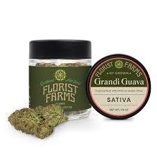 Florist Farms | Grandi Guava | 7g Flower | Sativa