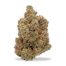 Kaprikorn - Lizard Burger