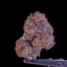 Gud Gardens Apricot Glaze *Indoor*