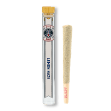Lemon Haze Infused Pre-Roll