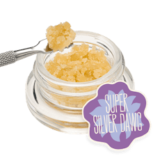 Super Silver Dawg Live Batter