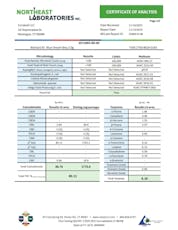 Elite Blue Dream BRIQ 2g (01206)