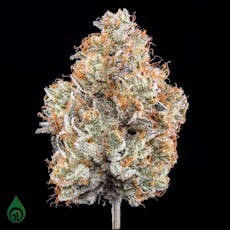 Sour Power OG | Pre-Pack