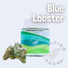 Hillview - Purple Jellato - 3.5G Bud