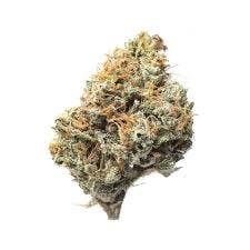Northern Lights