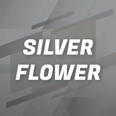 Silver Shelf - Pyxy Styx (I)