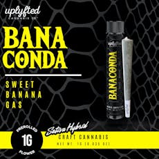 Banaconda Pre-Roll