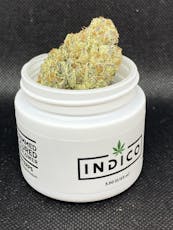 INDICO | Pre-Packed | Bananaconda | H