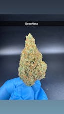 Strawnana - Flower - Hybrid