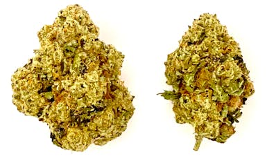 Prepack | Motorbreath